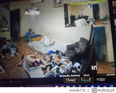 mimik739 - #danielmagical 

Druga czterdzieści jeden

Trafienie snajpera