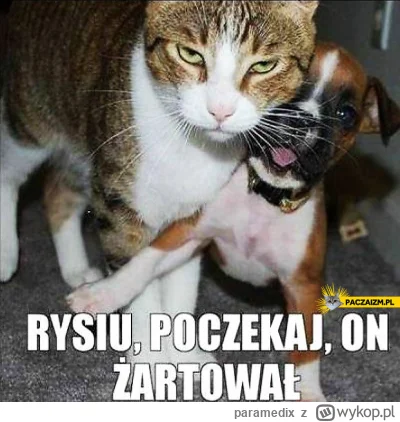 paramedix - @Imitacja_czlowieka: