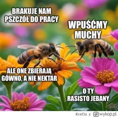 Kref3x - #imigranci #europa