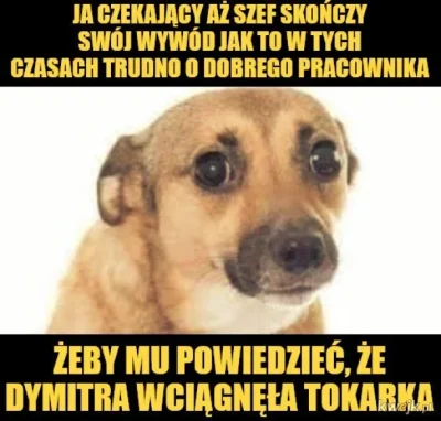 thority - @cffelson: ktoś tam właśnie czeka by powiedzieć szefowi, że Dima wpadł do p...