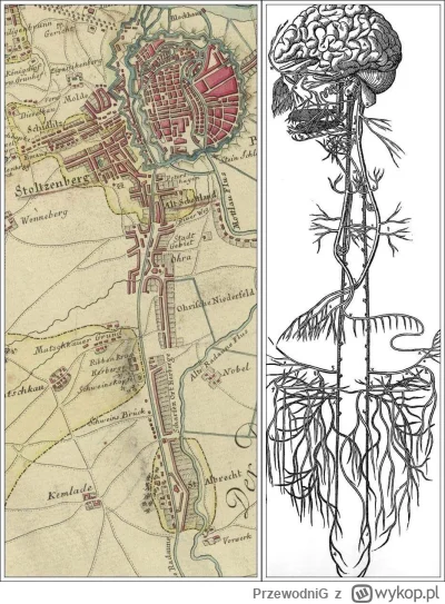 PrzewodniG - Po lewej stronie fragment mapy Gdańska i okolic z 1783 r. autorstwa berl...