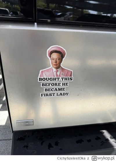 CichySzelestOka - #elonmusk #tesla #heheszki