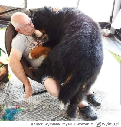 Kantorwymianymysliiwrazen - @maybe: ( ͡° ͜ʖ ͡°)