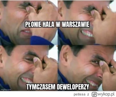 pelissa - Tymczasem ...