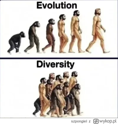 szpongiel - @Mordall: evolution ( ͡° ͜ʖ ͡°)