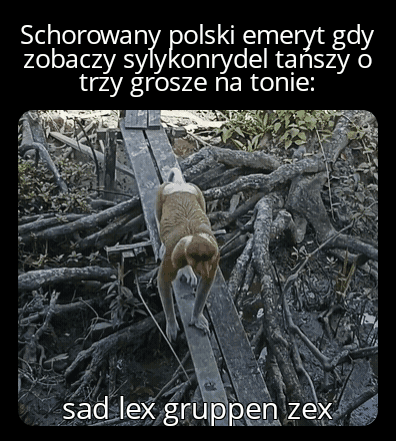 kinson - #konkursnanajbardziejgownianymemznosaczem