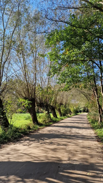 kuraku - 607 127 + 67 + 4 = 607 198

W końcu zebrałem się, zostawiłem rodzinę i pojec...