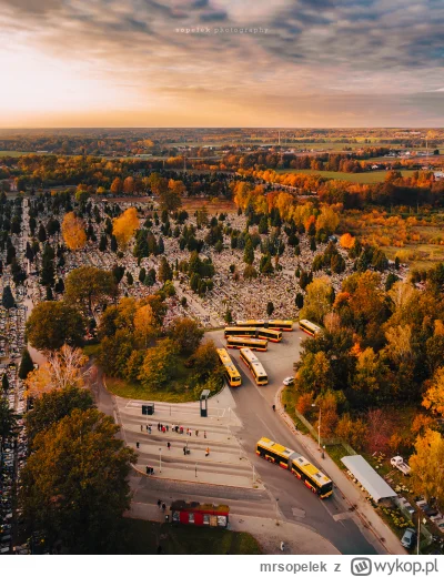 mrsopelek - Krańcówka Szczecińska Cmentarz widziana z kilkudziesięciu metrów. W spoil...