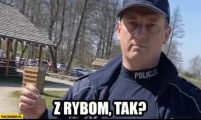 murison - jakby to był łagodny falafel na cienkim no to powinni trafić do łagru.
ale ...