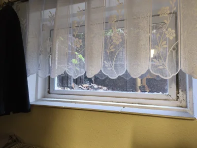 BiednyZaToGlupi - #przegryw kurła grzyb mi wylazł w pokoju