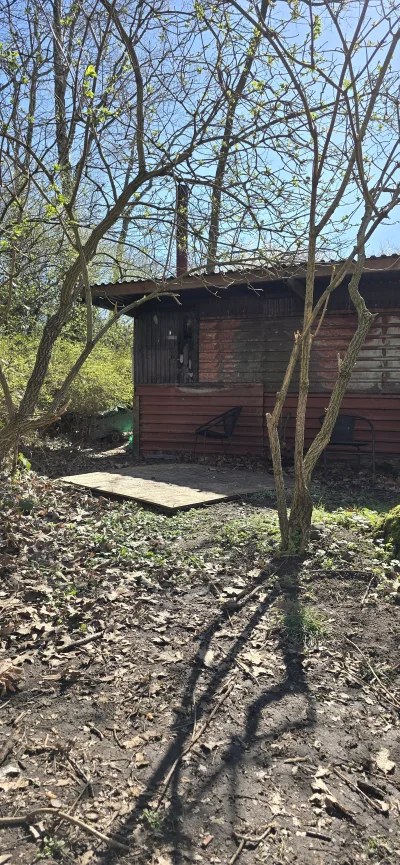 biedachuop - Chaupka w lesie se
#przegryw #spierdotrip