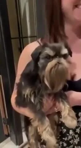 droperix10 - #sejm jest i on