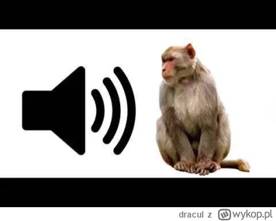 dracul - @damianooo8: