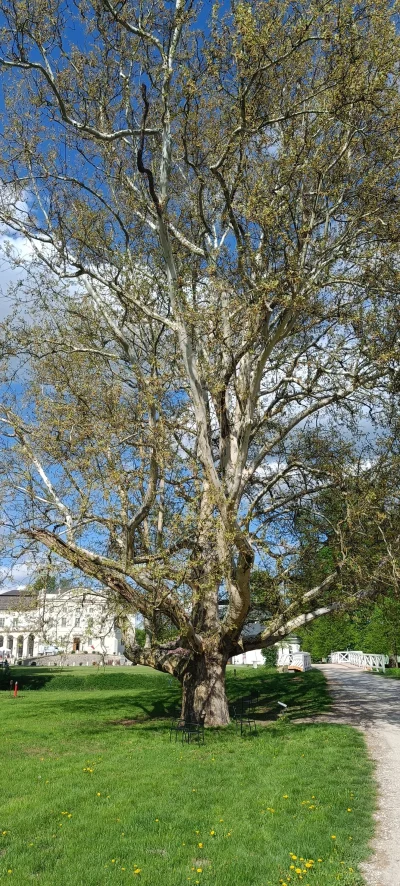 KladzSie - @KladzSie: