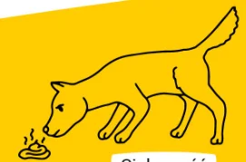 luke-mat - Pitbulle jedzo g---o
#psy #psiarze