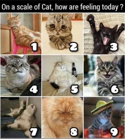 kolorowy_monochrom - Jak samopoczucie w tą gorączkę sobotniej nocy? 

#przegryw