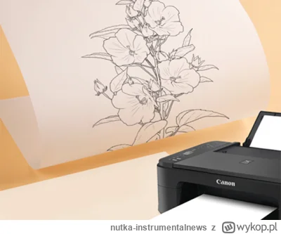 nutka-instrumentalnews - można samemu perfomowac rolkę do atramentówki i takiego wyni...