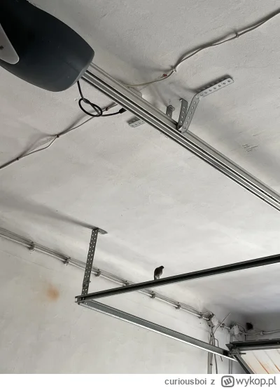 curiousboi - @szarlej_demeryta mama ptoszek obserwująca mnie co ja tu robię 
Powinien...