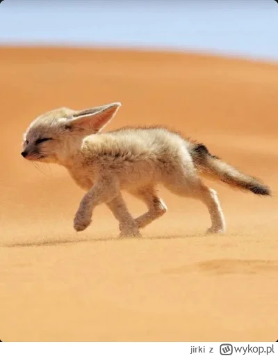 jirki - @jirki a nie… jednak w dobrą…