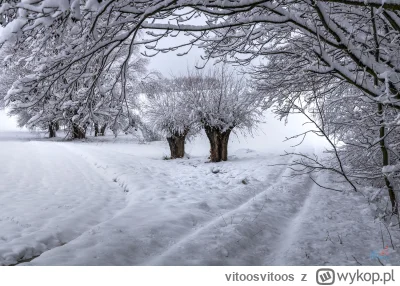 vitoosvitoos - Czy ja we wczorajszym wpisie coś pisałem, żeby śnieg poleżał jak najkr...