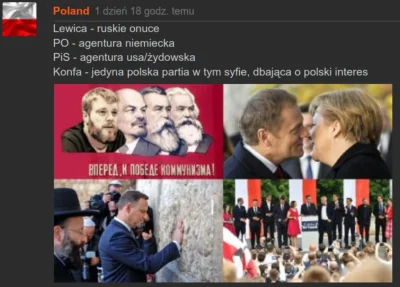 PoIand - Jedyna propolska partia.