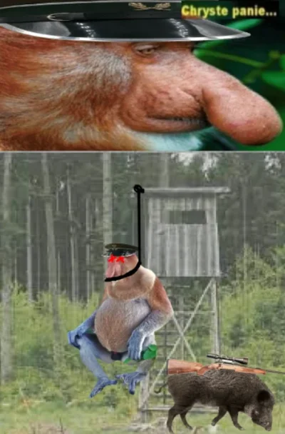 koneserprogresywnegodiscopolo - @marko2: