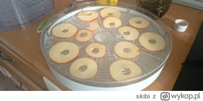 skibi - #mirkowyzwanie #gotujzwykopem 


1. Upiecz dyniowy chleb eksperymentując z fo...