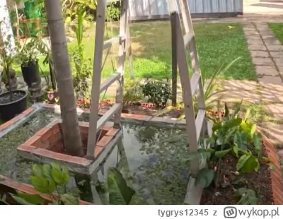 tygrys12345 - #raportzpanstwasrodka Tyż jest piknie. Brat Phanej zostawił drabinę dla...