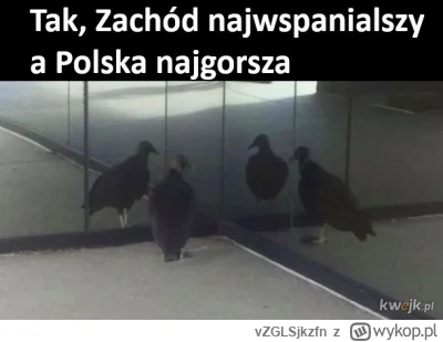 vZGLSjkzfn - Stefanik przejrzał na oczy i zrozumiał, że bydle nie chce dyskusji tylko...