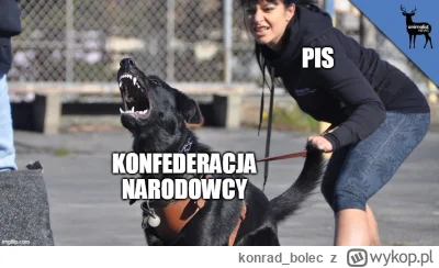 konrad_bolec - @Cosipi każdy wysryw memcelele to dla konfiarskich miernot "masakracja...