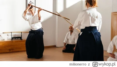 milionerro - @WielkiNos: to turniej aikido?