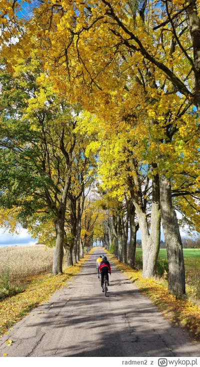 radmen2 - 344 193 + 100 + 47 + 9 + 153 + 56 + 82 + 60 = 344 700

Czy to już koniec se...