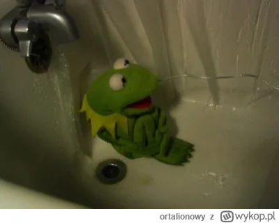 ortalionowy - @Kotouak: