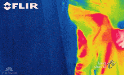 PIAN--A_A--KTYWNA - Streszczenie na jednym gifie