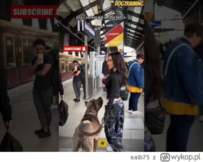 saib75 - Puszek nie gryzie.