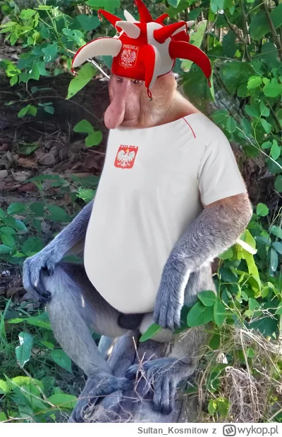 Sultan_Kosmitow - #mecz #nosaczsundajski