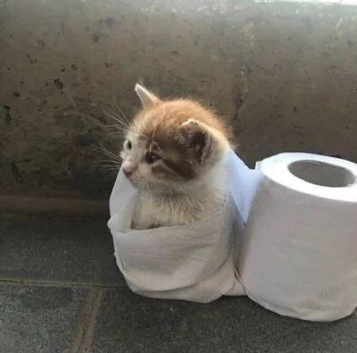 wybryk_natury - #zlodziejskiewybryki