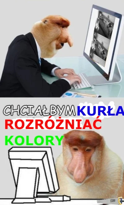 jude_88 - #konkursnanajbardziejgownianymemznosaczem król szczurów nie potrzebuje niez...