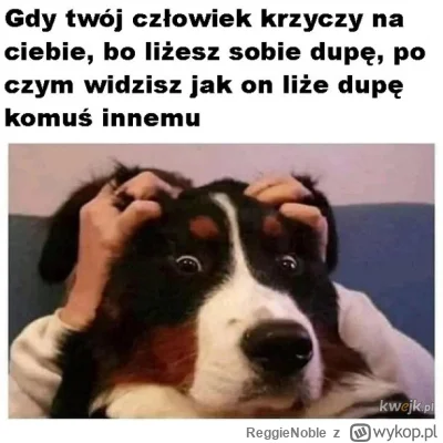 ReggieNoble - XD

#smiesznypiesek #heheszki #humorobrazkowy