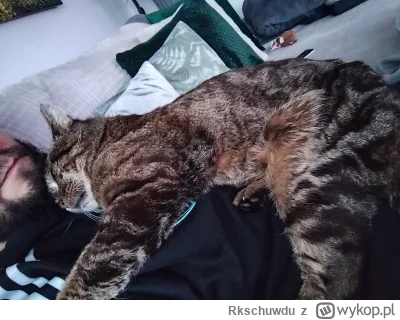 Rkschuwdu - Codziennie wygląda to tak samo. Wracam z pracy, ten zrywa się ze snu do k...