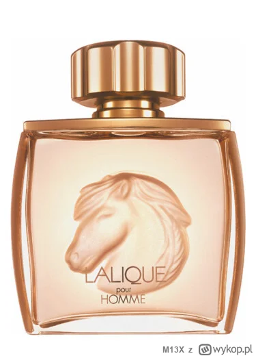 M13X - #perfumybiedaka

Wpis nr 20.

Lalique Pour Homme Equus

https://www.fragrantic...