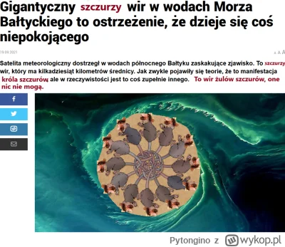 Pytongino - #konkursnanajbardziejgownianymemznosaczem