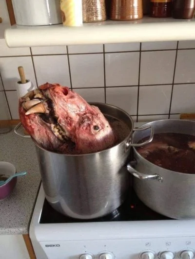 AMBIWALENTNYPSIUR - #dieta #gotujzwykopem