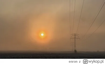 enron - Słonko pięknie się prezentowało we mgle dzisiaj (｡◕‿‿◕｡)