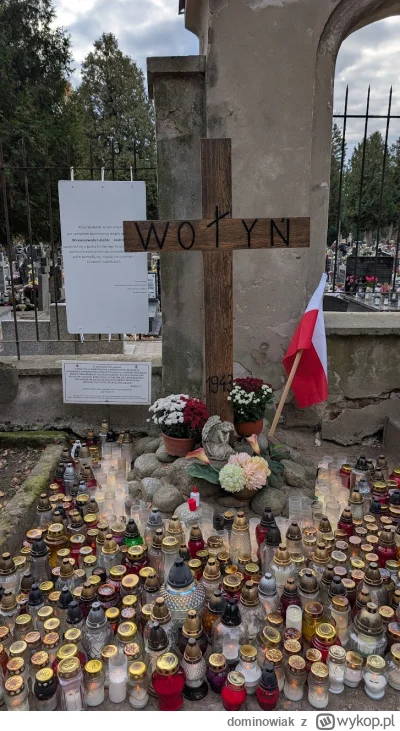 dominowiak - >Niezły fikoł niestety nietrafiony. Wołyń trafił do szerszej świadomości...