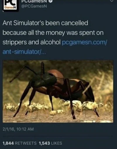 Neocaridina - #gry #heheszki  Tak trzeba żyć.