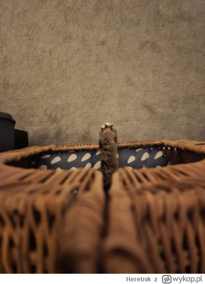 Heretnik - Prawie #pokazkota no i chyba #katzenpfotchen ( ͡~ ͜ʖ ͡°)