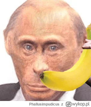 Phallusimpudicus - Presja na republikę bananową w sprawie eksportu bananów przez eksp...