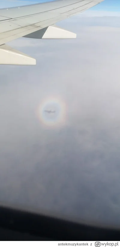 antekmuzykantek - Ostatnio takie zrobiłem w samolocie.