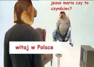 JatuArmy - Wtorek 3:44